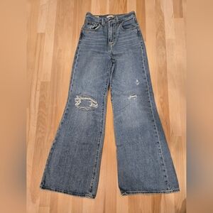 Levis Premium High Loose Flare